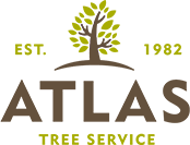 Atlas Tree Services